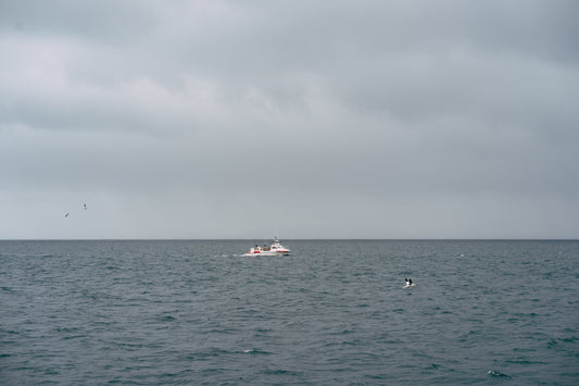 STRANDVEIÐIN AÐ BYRJA!